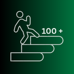 100+ Successful WordPress Projects